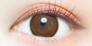 エバーカラーワンデー ナチュラル アプリコットブラウン