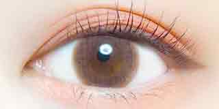 エバーカラーワンデー ナチュラル ひとめぼれの恋