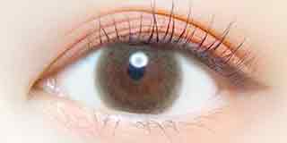 エバーカラーワンデー ナチュラル くぎつけの心