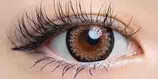 ラヴェール シルキーベージュ