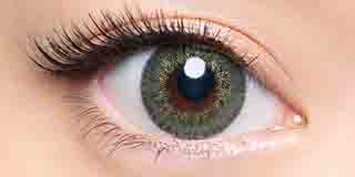 ラヴェール ジャスミンアイビー