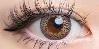 ラヴェール アッシュグレージュ