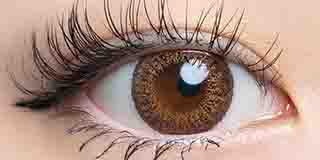 ラヴェール ブラウンミラージュ