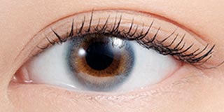 エヌズコレクション サイダー