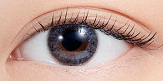 エヌズコレクション ココナッツ