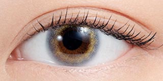 エヌズコレクション ラッシー