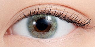 エヌズコレクション サバテイショク