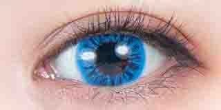 パーフェクトシリーズ コスマギア PC18 海底都市