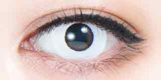 パーフェクトシリーズ ワンデー 閃刃ホワイト