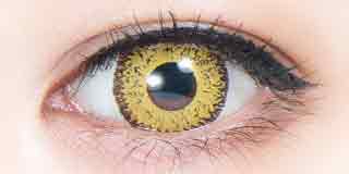 パーフェクトシリーズ ワンデー 雷鳴《ミモザイエロー》