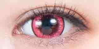 パーフェクトシリーズ  フルブルーム ローズ