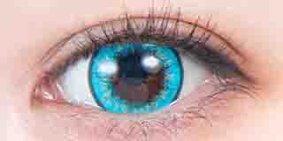 パーフェクトシリーズ  フルブルーム ブルースター