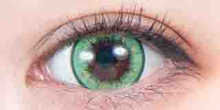 パーフェクトシリーズ  フルブルーム クローバー