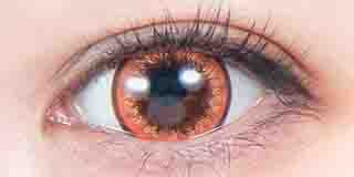 パーフェクトシリーズ  フルブルーム モカラ