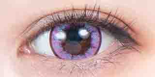 パーフェクトシリーズ  フルブルーム アイリス