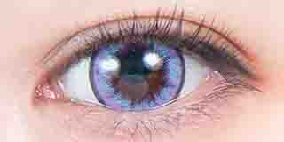 パーフェクトシリーズ  フルブルーム ベロニカ