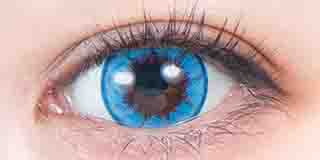 パーフェクトシリーズ  フルブルーム ネモフィラ