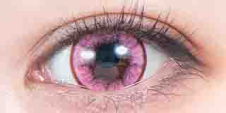 パーフェクトシリーズ  フルブルーム ピオニー