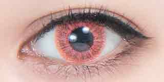 パーフェクトシリーズ  グランツ フラム