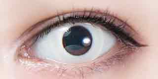 パーフェクトシリーズ  ジョーカー ホワイト