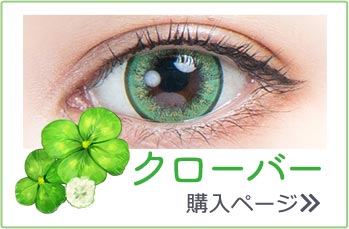 パーフェクトシリーズワンデーフルブルーム クローバー